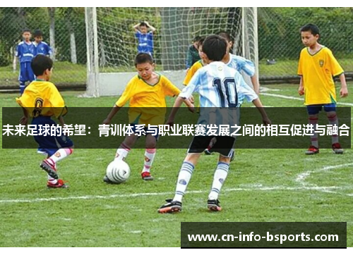 未来足球的希望：青训体系与职业联赛发展之间的相互促进与融合