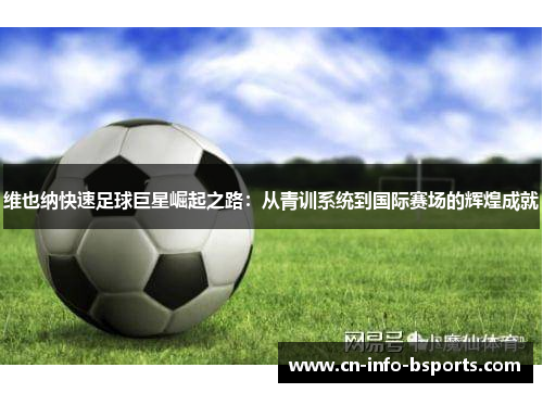 维也纳快速足球巨星崛起之路：从青训系统到国际赛场的辉煌成就