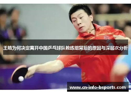 王皓为何决定离开中国乒乓球队教练组背后的原因与深层次分析